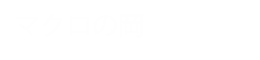 宏岡有限公司